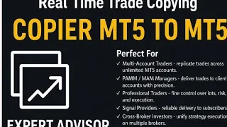 MT5 to MT5 Trade Copier EA Master Slave Advanced Risk Lot Management