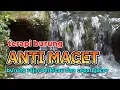 Download Lagu ANTI MACET, terapi burung agar rajin berkicau dengan gemericik suara air