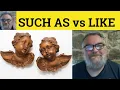 Such As versus Like - Like or Such As