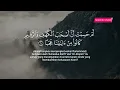 Surah Al Kahfi سورة الكهف | Halim Ahmad
