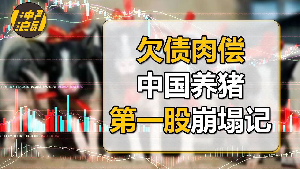 倒腾资本,砸钱玩电竞,饿死百万头猪,无奈欠债肉偿,复盘一代养殖巨头的覆灭之路【中国商业史25】下集