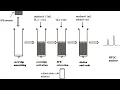 Solid phase extraction