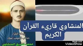 فبعث الله غرابا يبحث في الارض      تغريدات منشاوية   دندنها