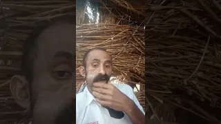 محلا عيشة البداوة 