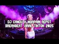 DJ NGAPAIN REPOT X PICA PICA V2 X CANDU VIRAL BREKBEAT MELODI PARA SUHU VIRAL TIKTOK 2025
