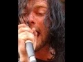 bert mccracken