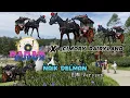 Download Lagu Naik Delman | Versi EDM | Lagu Anak Terpopuler | MAMAMKUPUK @Cimory Dairyland