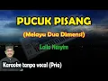 Download Lagu Pucuk pisang karaoke melayu 2 dimensi nada pria