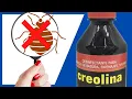 How to Use Creolin for Bed Bugs