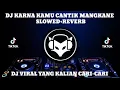 Download Lagu DJ KARNA KAMU CANTIK MANGKANE SLOWED + REVERB VIRAL TIKTOK TERBARU YANG KALIAN CARI-CARI