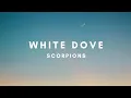 Download Lagu White Dove (Terjemahan) | Scorpions