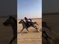 Download Lagu Horse Riding ❤Geceler | Turkish song | #geceler