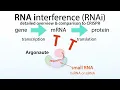 Download Lagu RNA interference (RNAi): microRNA (miRNA), siRNA, Argonaute (Ago) proteins, \u0026 a comparison to CRISPR