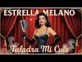 Lagu “Taladra Mi Culo – Estrella Melano (Bolero Prohibido de los 60s)”