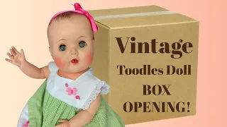 vintage 1950s toodles doll box opening 