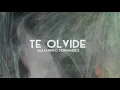 Alejandro Fernandez - Te Olvide (Letra/Lyrics)