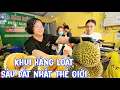 Download Lagu Cận Cảnh Khui Hàng Loạt Sầu Riêng Đắt Nhất Thế Giới Black Thorn Cho Khách Thử Tại Chỗ.