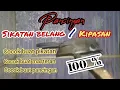 Download Lagu suara sikatan belang