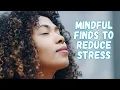 Banish Stress Welcome Calm Relaxation Favorites from Poopsie s Galena