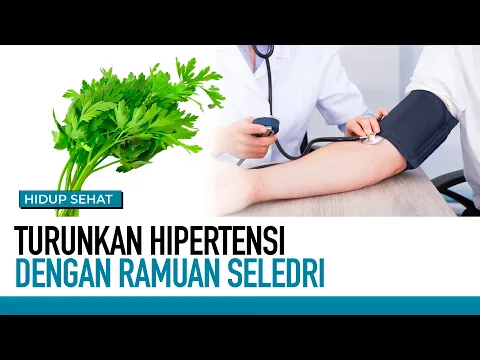 Seledri Untuk Atasi Asam Urat & Hipertensi | Fakta Atau Mitos