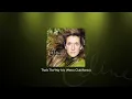 Celine Dion - That's The Way It Is (Metro Club Remix)