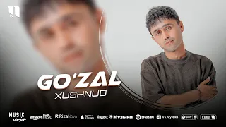 Xushnud - Go'zal (audio 2025)