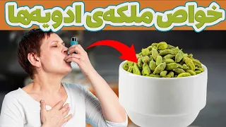  هل سبز  ملکه ادویه جات   تمام خواص و فواید هل سبز که از آن بی خبرید دندنها