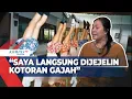 Download Lagu Butet Ungkap Kisah Kelam di Sirkus OCI, Diduga Alami Penyiksaan Bertahun-tahun!