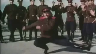                                        دندنها