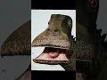 Download Lagu Nigersaurus: The Weirdest Mouth in Prehistory #dinosaur #prehistoricanimals