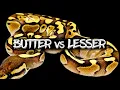 The Butter vs the Lesser Ball Python Are They the Same