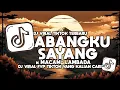 Download Lagu DJ ABANGKU SAYANG X MACAM MACAM STYLE LAMBADA REMIX FULL VIRAL TIKTOK Download Lagu DJ ABANGKU SAYANG X MACAM MACAM STYLE LAMBADA REMIX FULL VIRAL TIKTOK