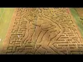 Jack Nicklaus corn maze