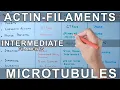 Microfilaments vs Microtubules vs Intermediate Filaments