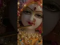 Lagu Murali jor se Bajai Re Nandlala Jay Shri Radhe Radhe