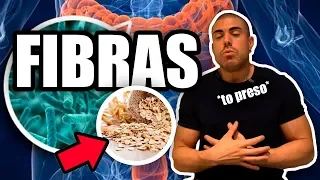 Tudo sobre fibras *sabia que é um macro?*