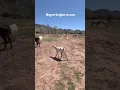 Unloading Time Life on the Ranch