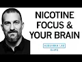 Download Lagu How Nicotine Impacts Your Brain \u0026 Enhances Focus | Dr. Andrew Huberman
