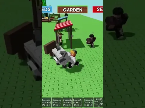 Stalker chased me down for my raccoon 🦝 on grow a garden 🪴 #growagarden #roblox #robloxshorts #fyp