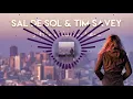 Sal De Sol & Tim Savey - Sitting Down Here