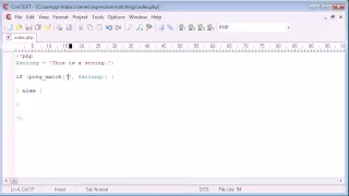Beginner PHP Tutorial 44 Expression Matching