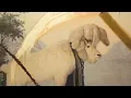 Julian Schnabel On Rabbits Goats and the Sky