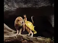 Leo Sun Taurus Rising Sexy Lion Romantic Creative but Set in Your Ways