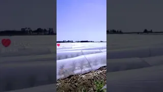 احنا احنا بمطرحنا يلعن اخت يلي بيكرهنا 