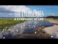 The Everglades A Symphony of Life Full Documentary