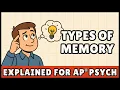 Types of Memory AP Psychology