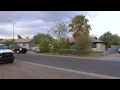 Maricopa County Sheriff s Office finds more than a dozen dead cats inside Morristown home