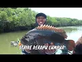 Lagu Menaklukkan Ikan Penghuni Perairan Nanga Mae | MANCING MANIA STRIKE BACK (27/12/25) P3