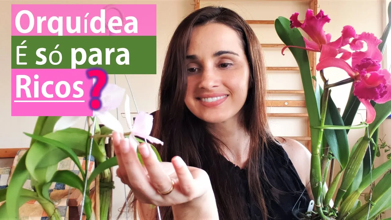 CULTIVE ORQUÍDEAS SEM GASTAR MUITO DINHEIRO