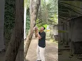 Download Lagu Lasak #shorts #funny #comedy #humor #reaction #trending